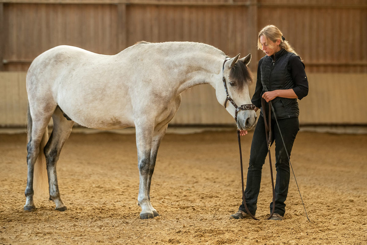 Rudi-1200x800-IMGP0324